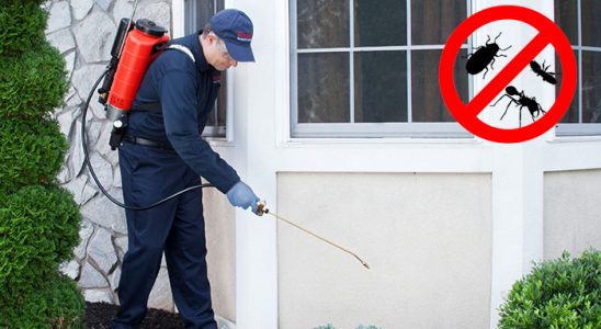 Horasan Kene İlaçlama böcek ilaçlama ve haşere kontrolü — ilaclama-tr.com